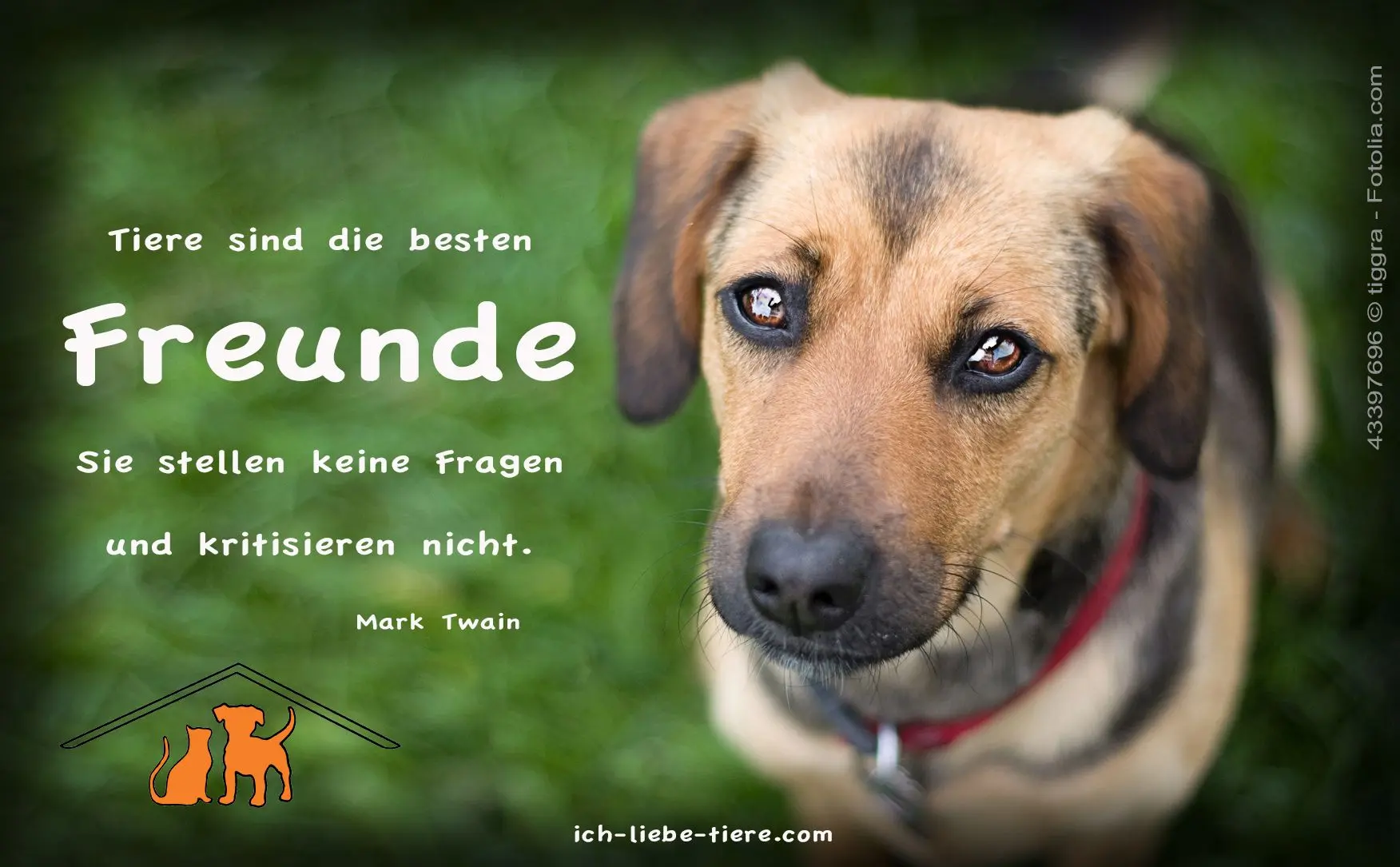 img/hundefutter-100-fleisch-fressnapf.webp