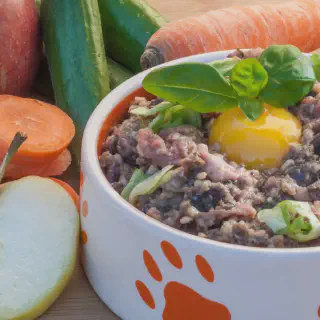 img/hundefutter-wenig-protein.webp