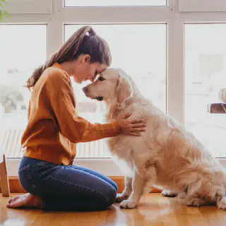 img/hundefutter-werbung.webp