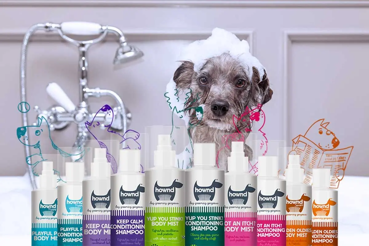 img/xantara-hundefutter-online-shop.webp